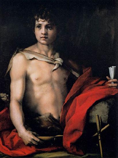 Andrea del Sarto St John the Baptist Germany oil painting art